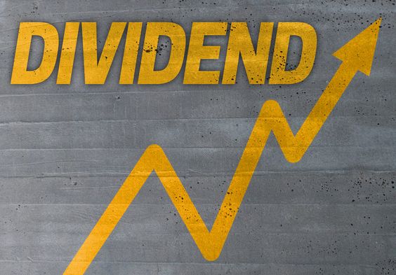 The Beginners Guide to Dividend Investing